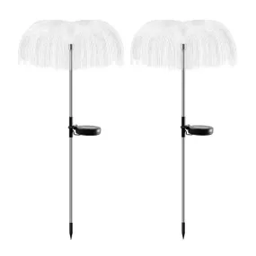 2Pieces Solar Fibre Lamp Dandelion Pi-1