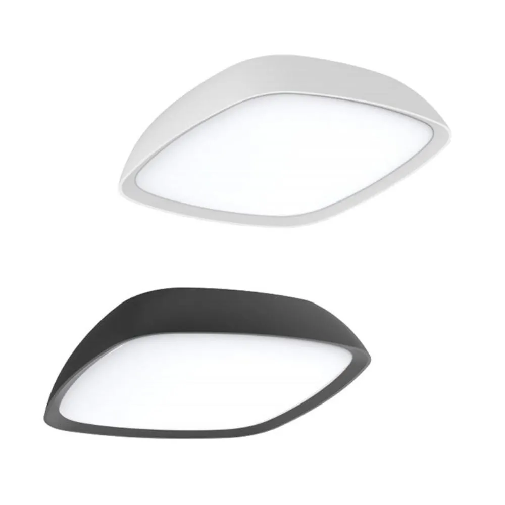Doccia LED Exterior Wall or Ceiling Light in Dark Grey or White