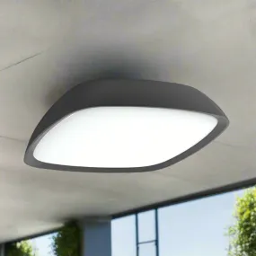 Doccia LED Exterior Wall or Ceiling Light in Dark Grey or White