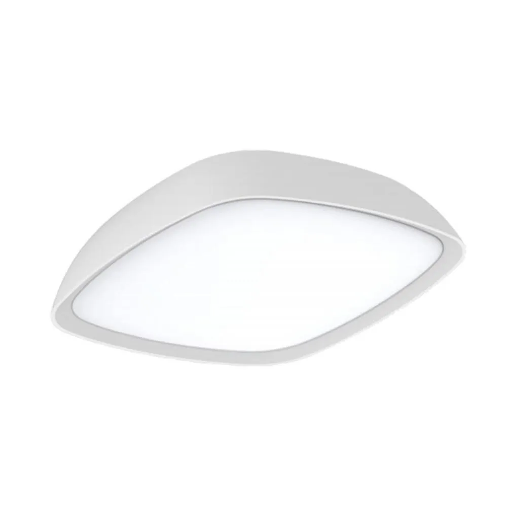 Doccia LED Exterior Wall or Ceiling Light in Dark Grey or White