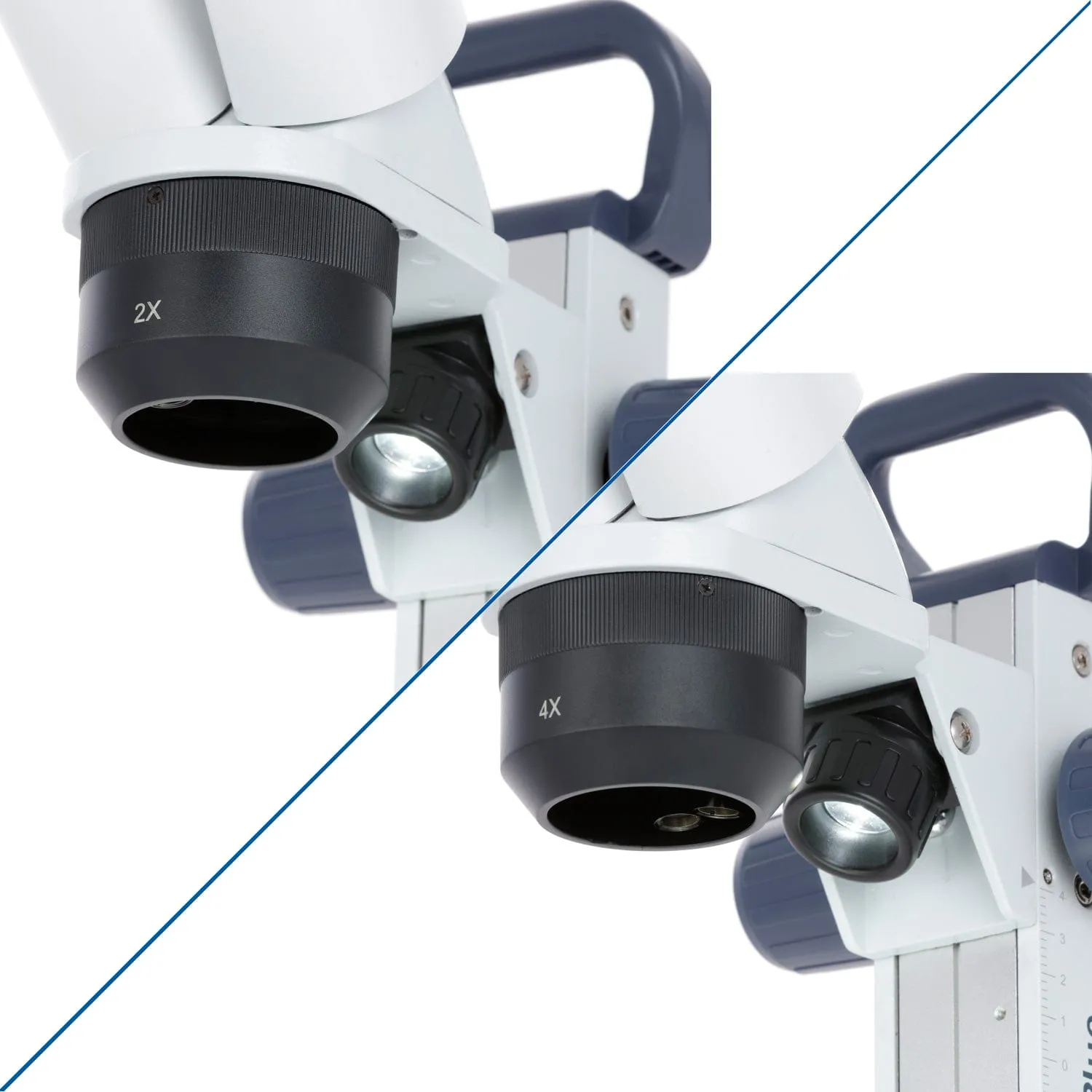 Euromex EduBlue Series Binocular Stereo Microscope 20X-40X Magnification with 2X/4X Objective Lenses on Dual Illumination Track Stand