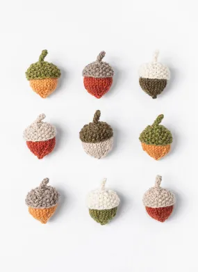 Fall Festival Acorns Kit