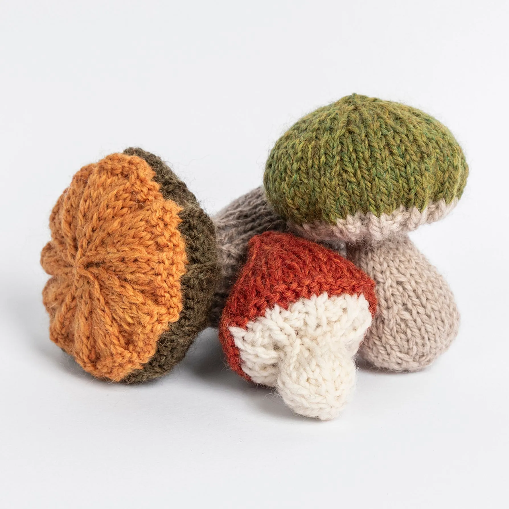 Fall Fungi Kit