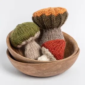 Fall Fungi Kit