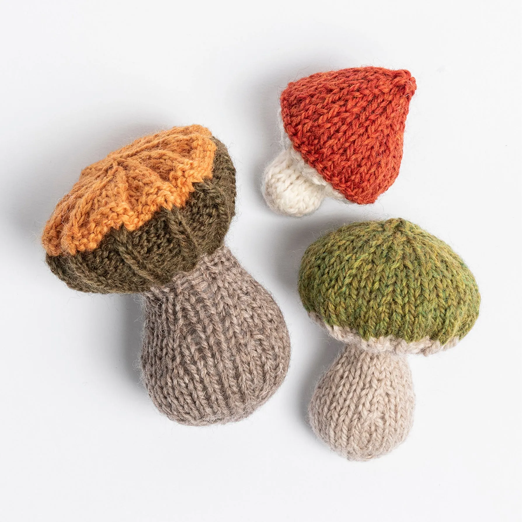 Fall Fungi Kit