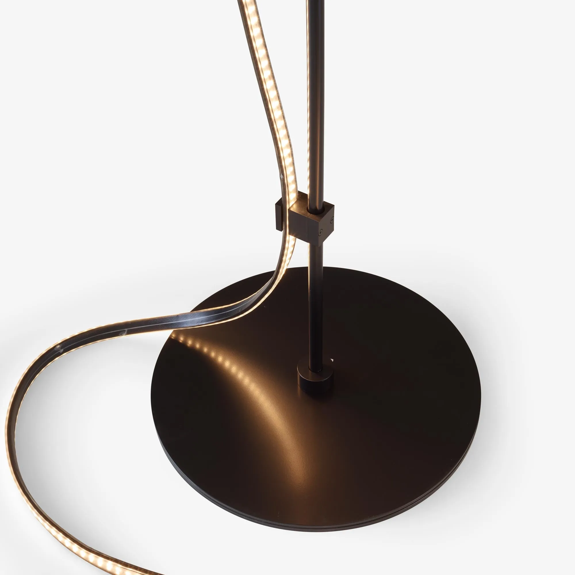 Feston Stem   Led Ribbon   Wall Support   Hook