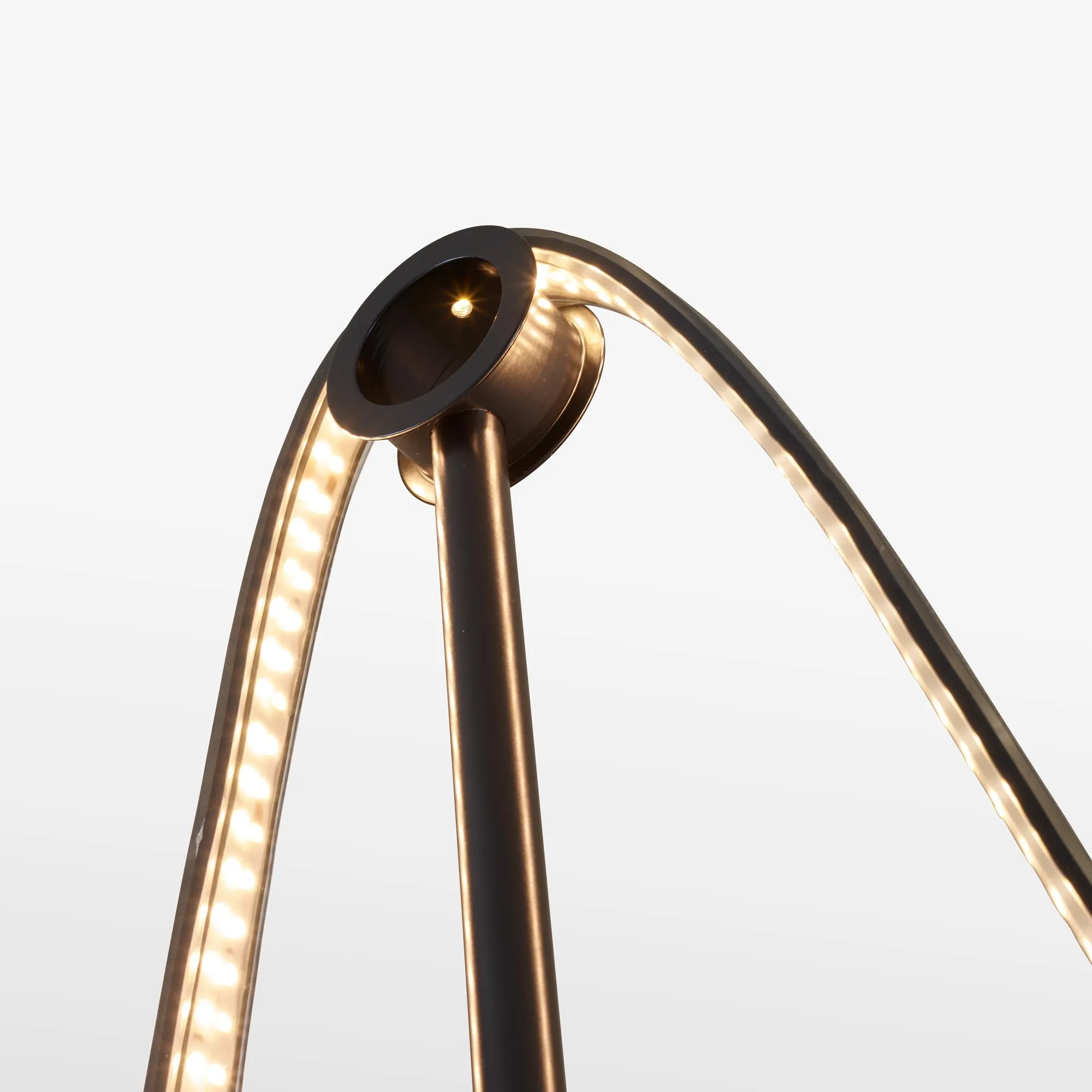Feston Stem   Led Ribbon   Wall Support   Hook