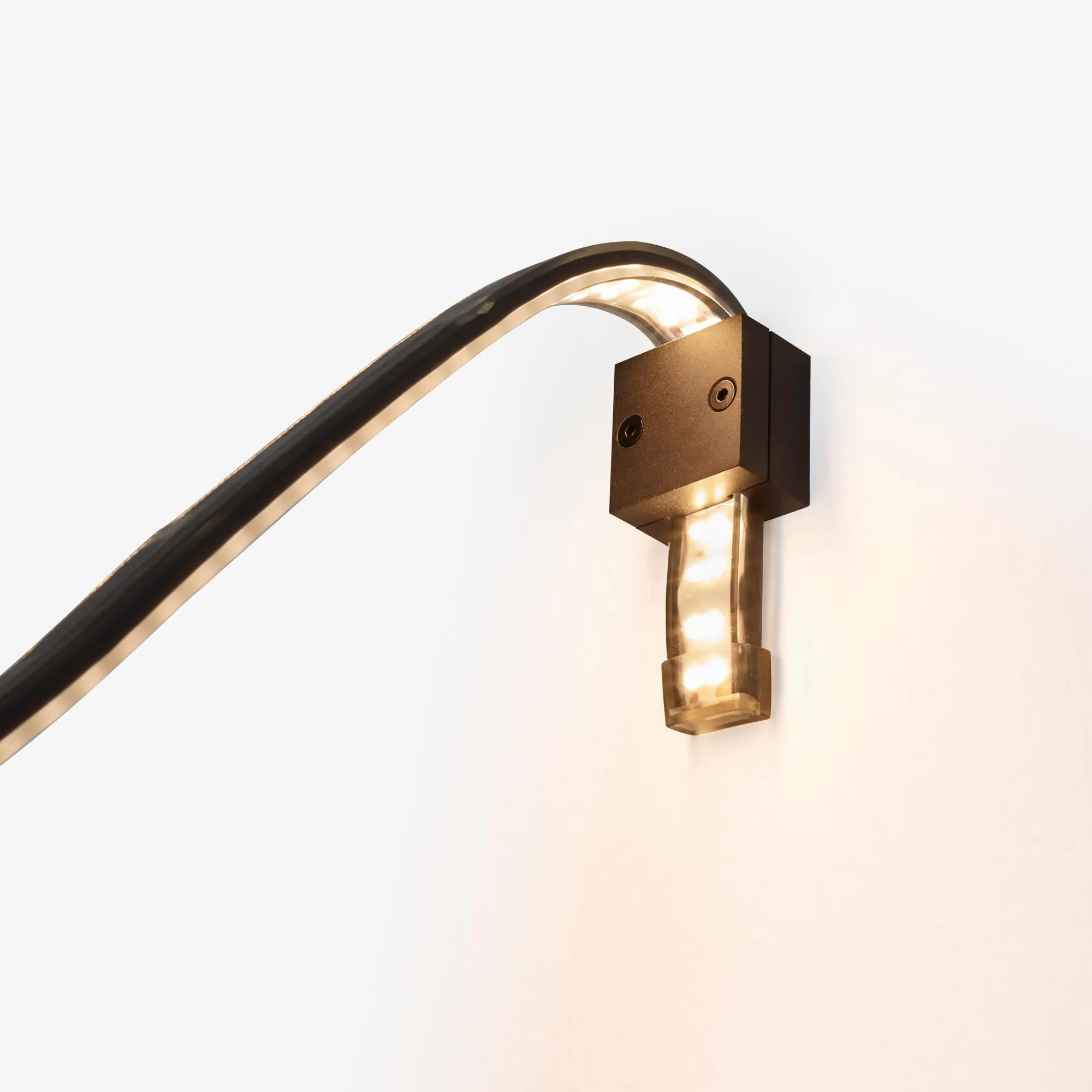 Feston Stem   Led Ribbon   Wall Support   Hook