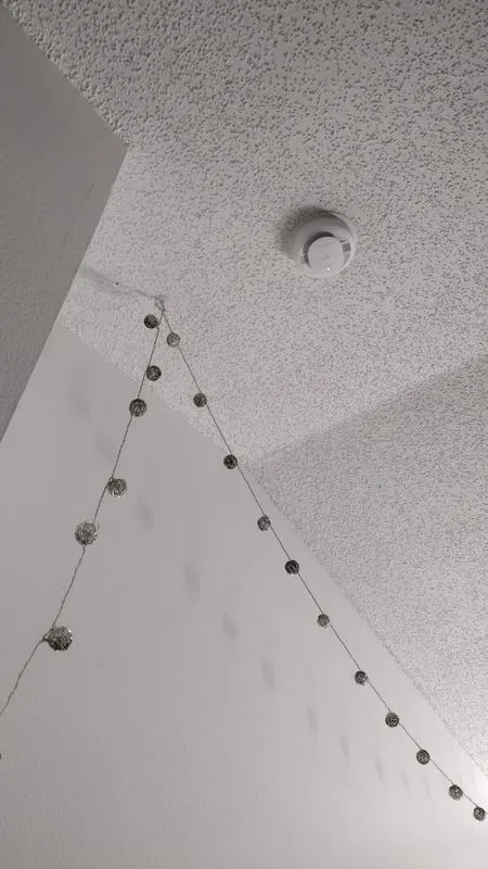 Hardwired Smoke &amp; Carbon Monoxide Voice Alarm