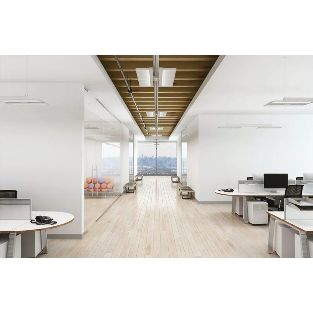 Neo Ray Index Linear Lighting
