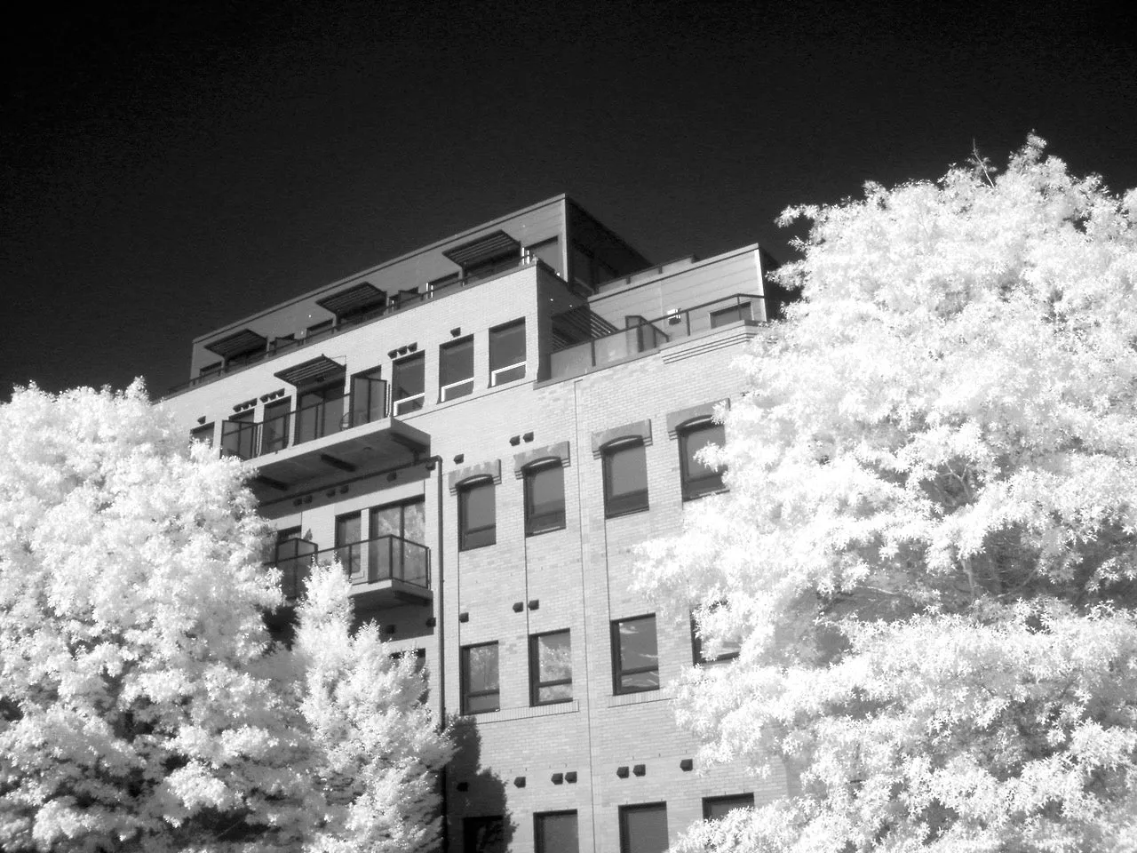 Olympus FE-46 (homemade IR conversion)