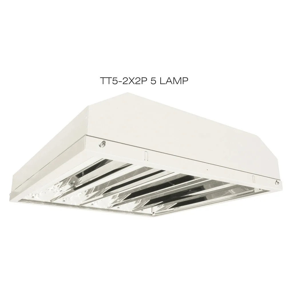 T5HO TWIN-TUBE FLUORESCENT 3, 4 & 5 LAMP PENDANT MOUNT LIGHTING FIXTURES
