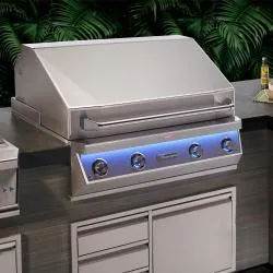 Twin Eagles 42" Eagle One Super Premium Built-In Outdoor Gas Grill